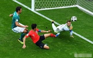 世界杯1小时前爆料视频,一小时内独家爆料视频内容抢先看