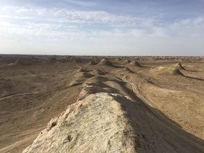 瓜洲免费吃瓜在哪里,寻味夏日甜蜜时光 第2张 瓜洲免费吃瓜在哪里,寻味夏日甜蜜时光 第2张
